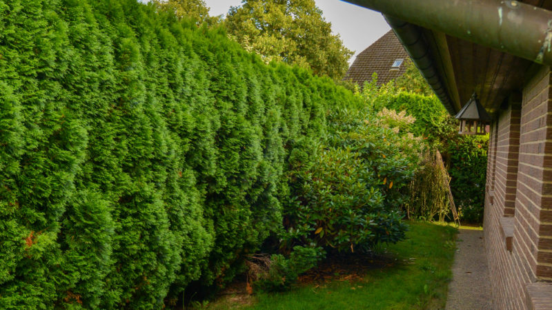 Außensicht DSC_4214